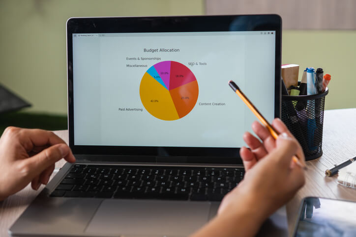 A pie chart showing digital marketing budget allocation