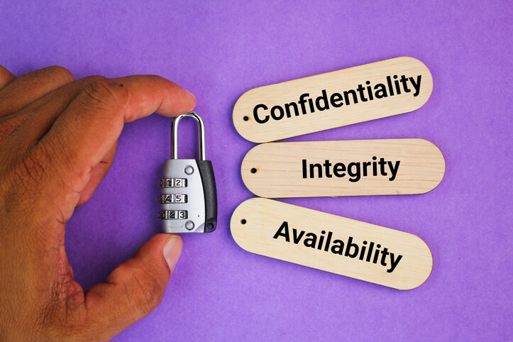 The CIA triad: Confidentiality, Integrity, and Availability, key principles in explored in cybersecurity programs.