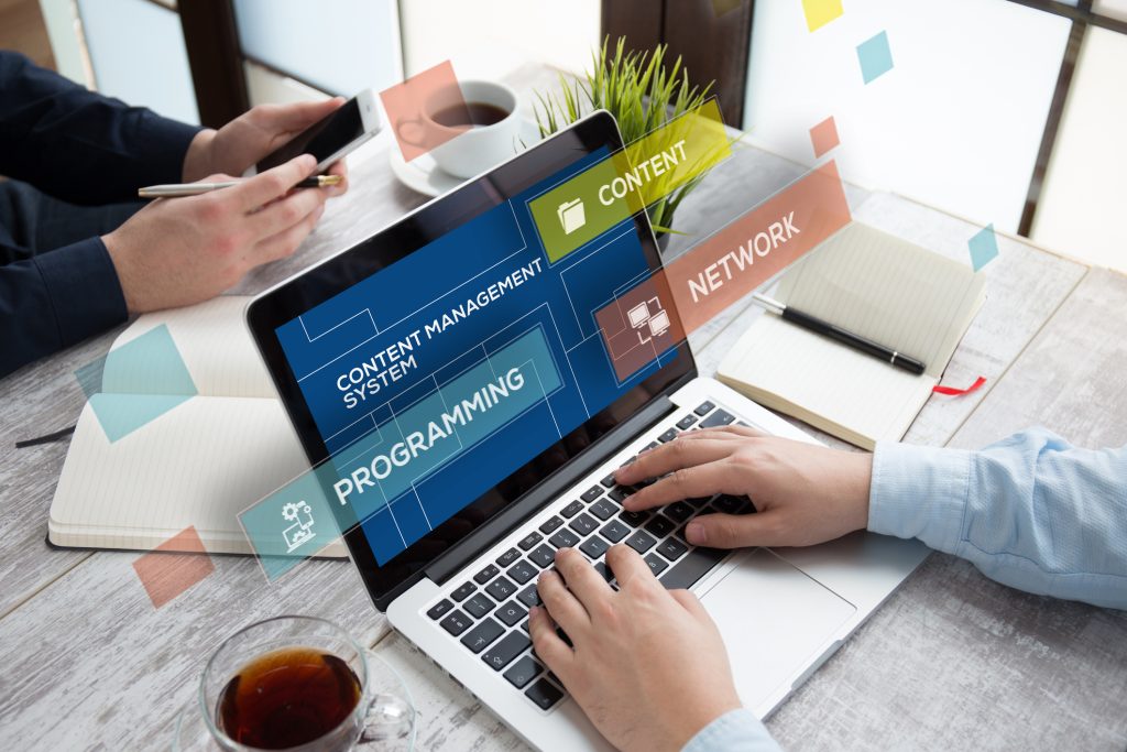 A marketer updating website content and SEO elements through a content management system