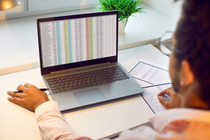 A data analytics student using Excel to examine a dataset